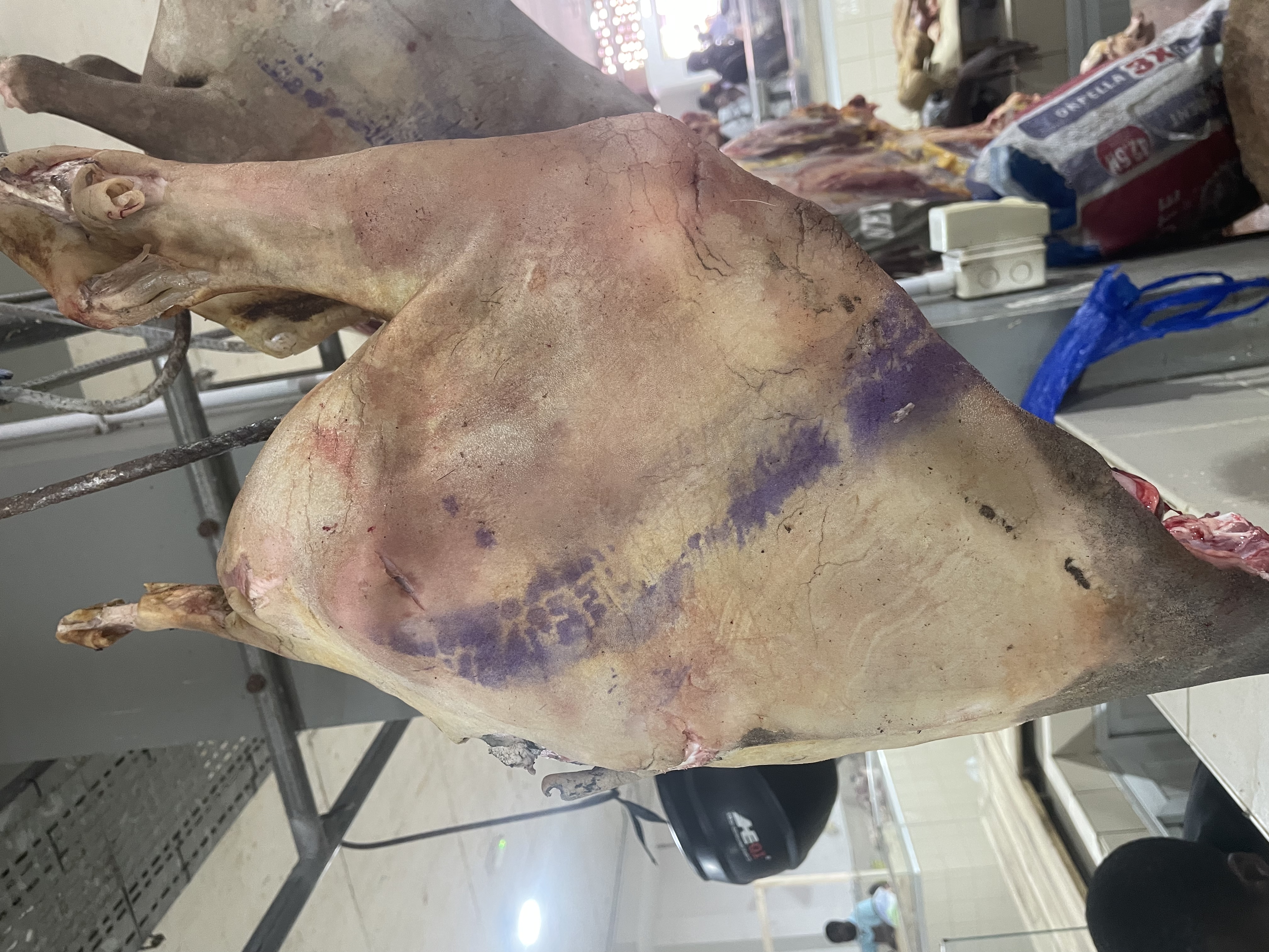 Cuisses de mouton