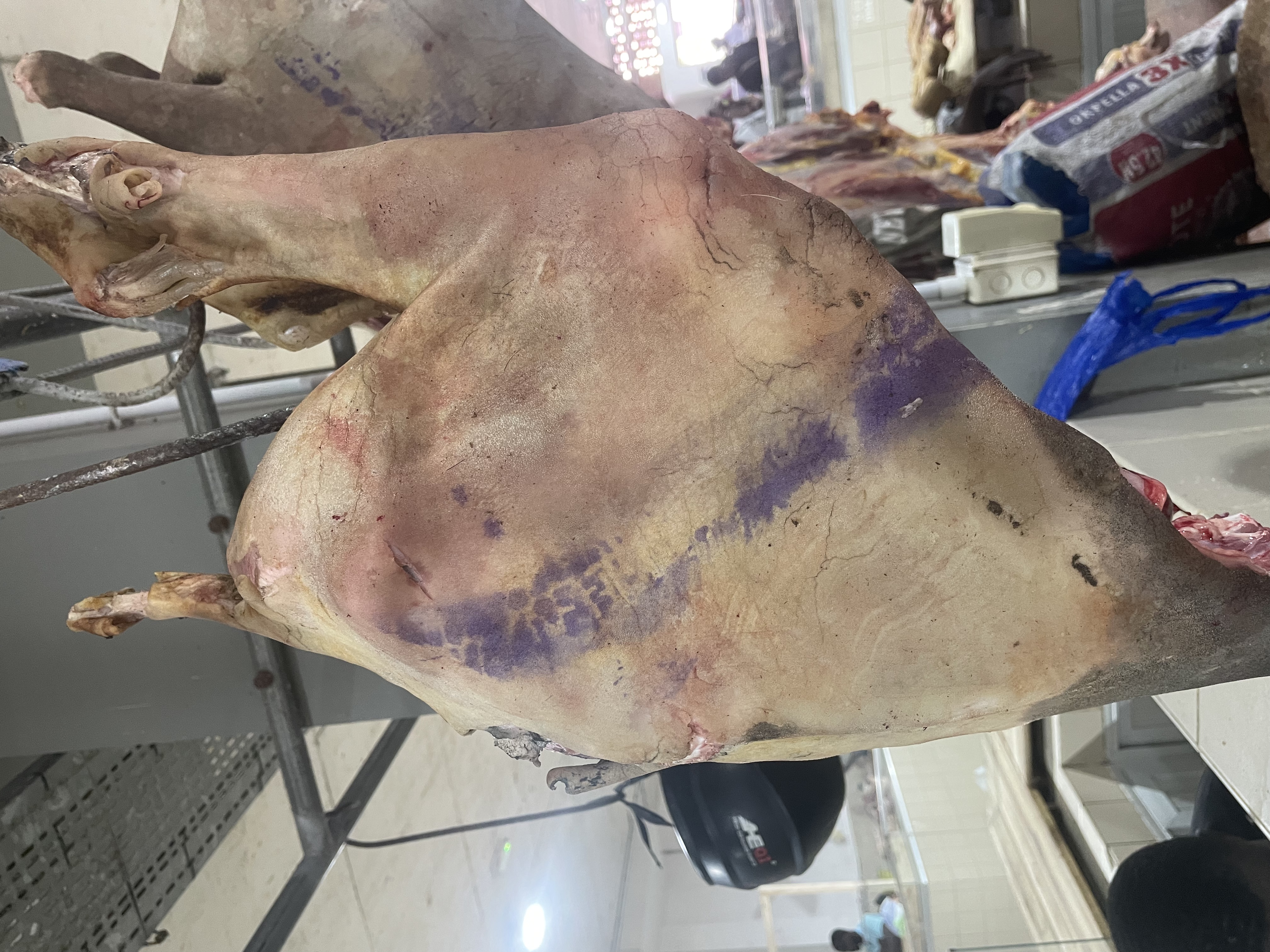 Cuisses de mouton