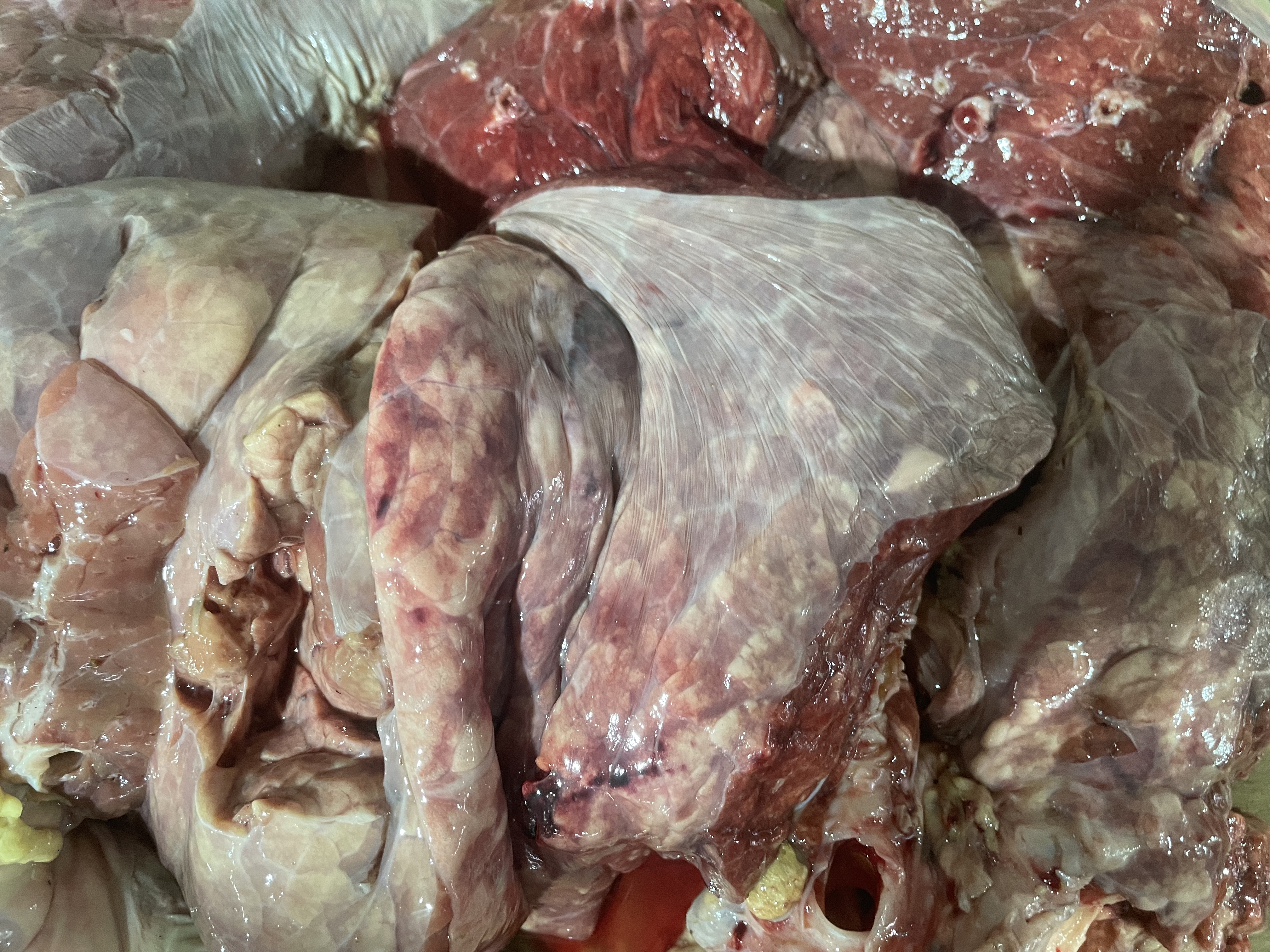 Intestins de bœuf le triple