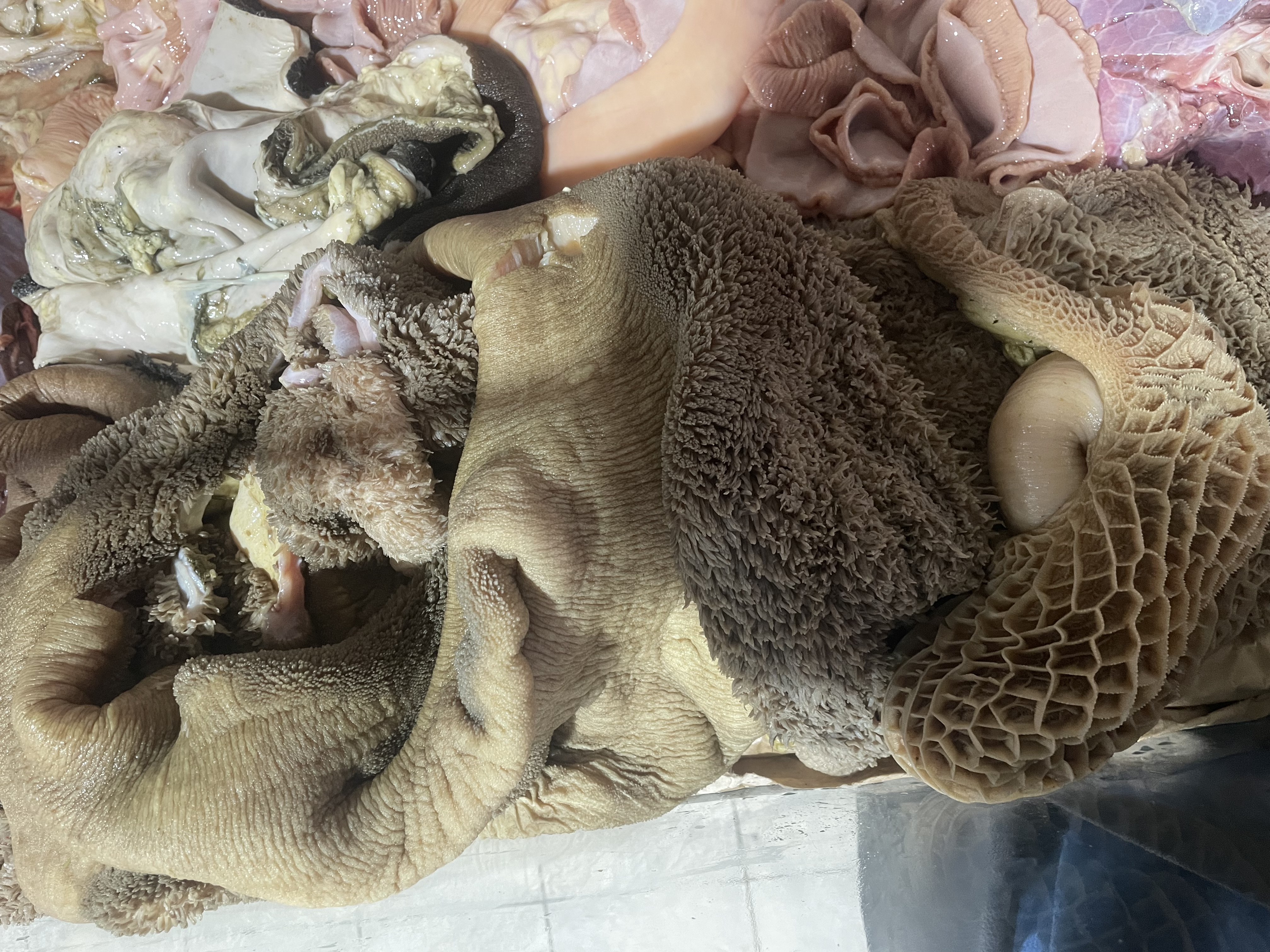 Intestins de bœuf le triple