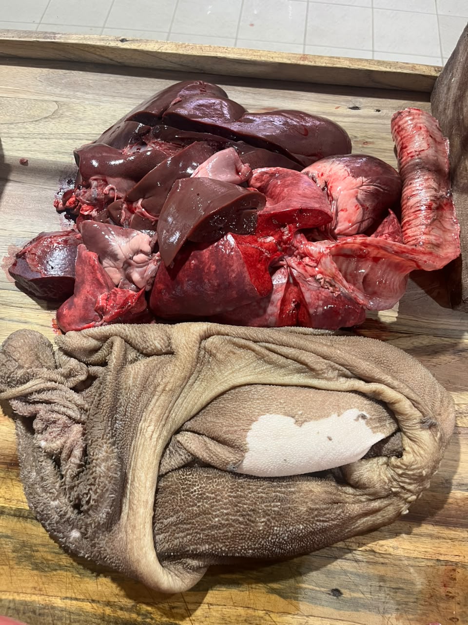 Kit Intestins Mouton