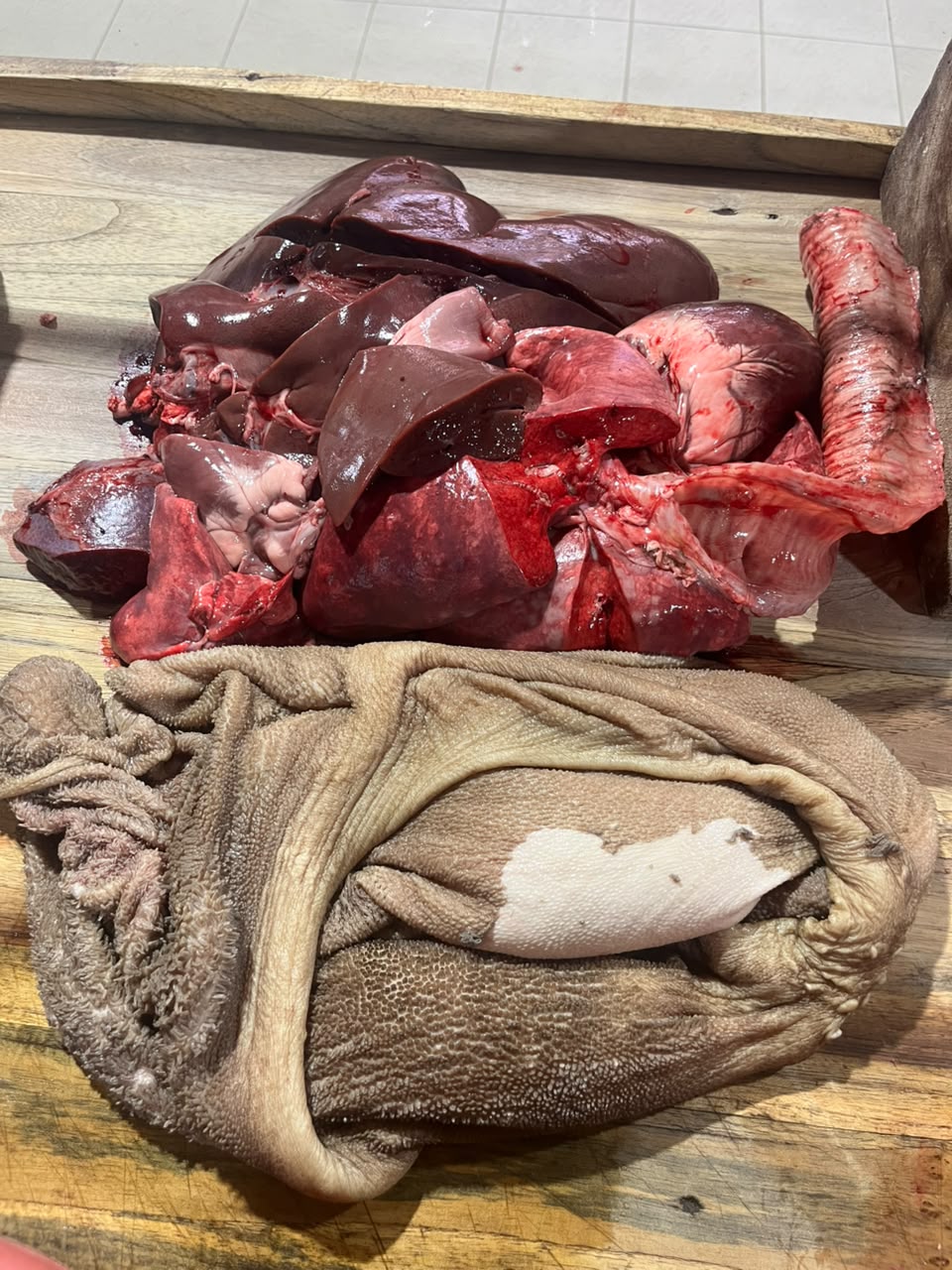 Kit Intestins Mouton