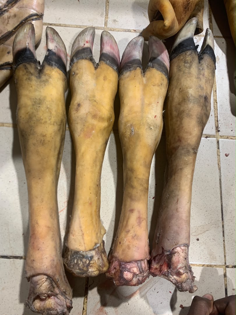 Pattes de bœuf