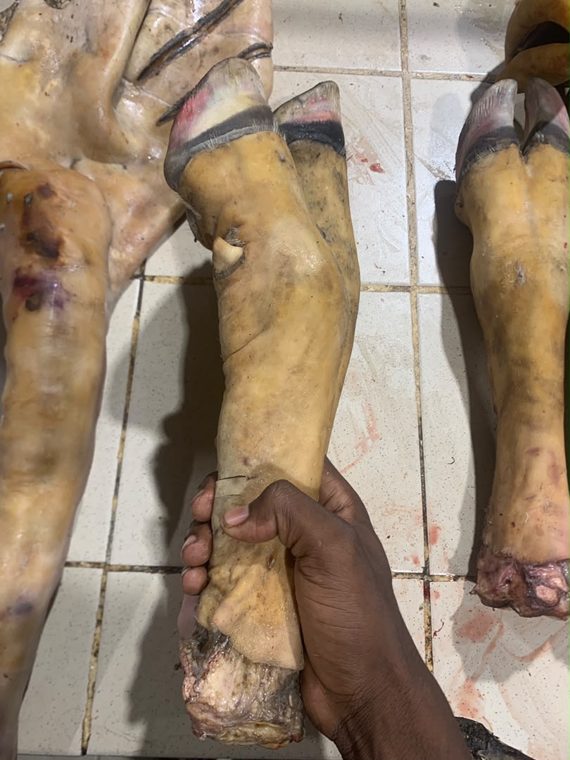 Pattes de bœuf