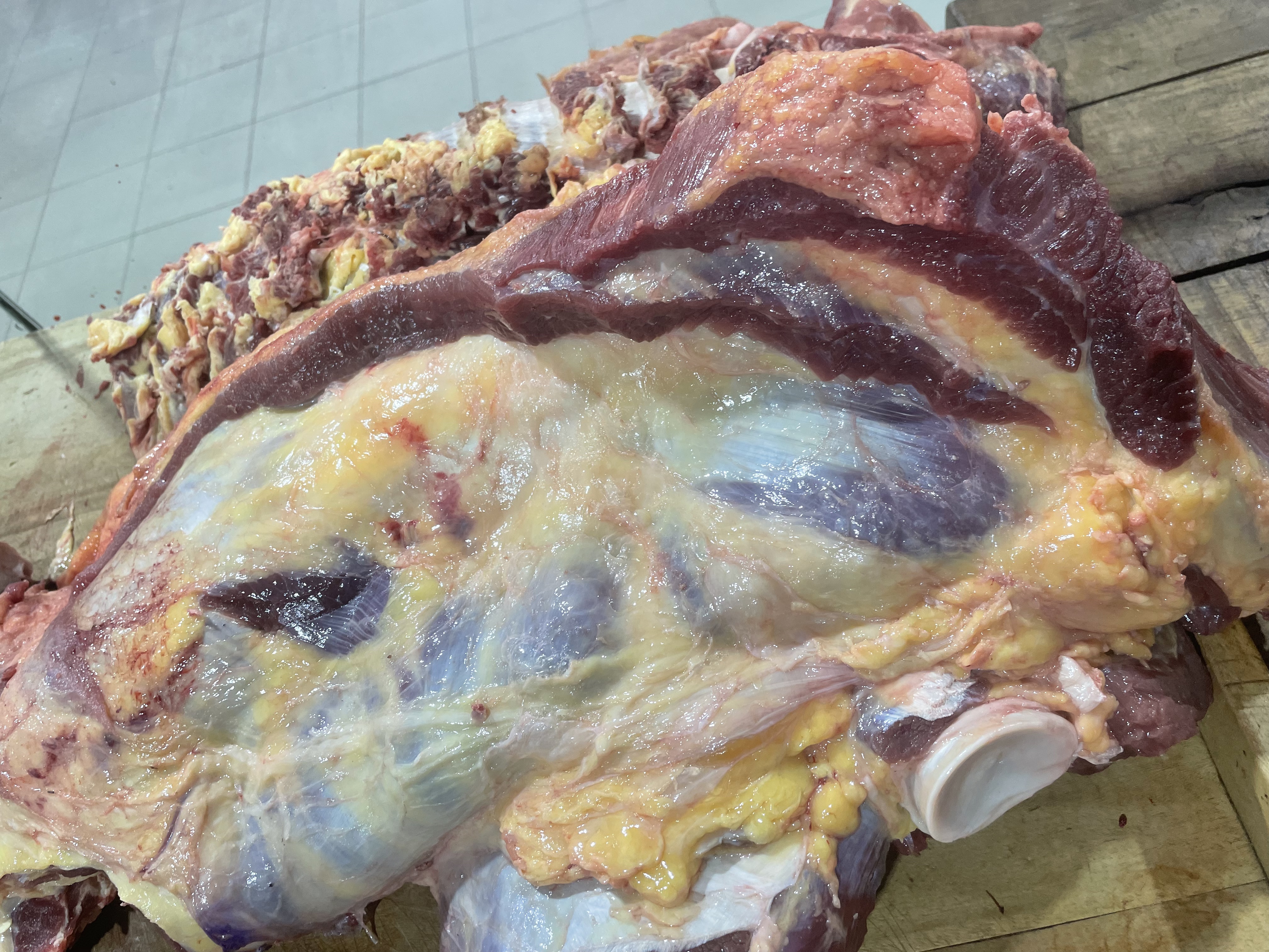 Poitrine de bœuf