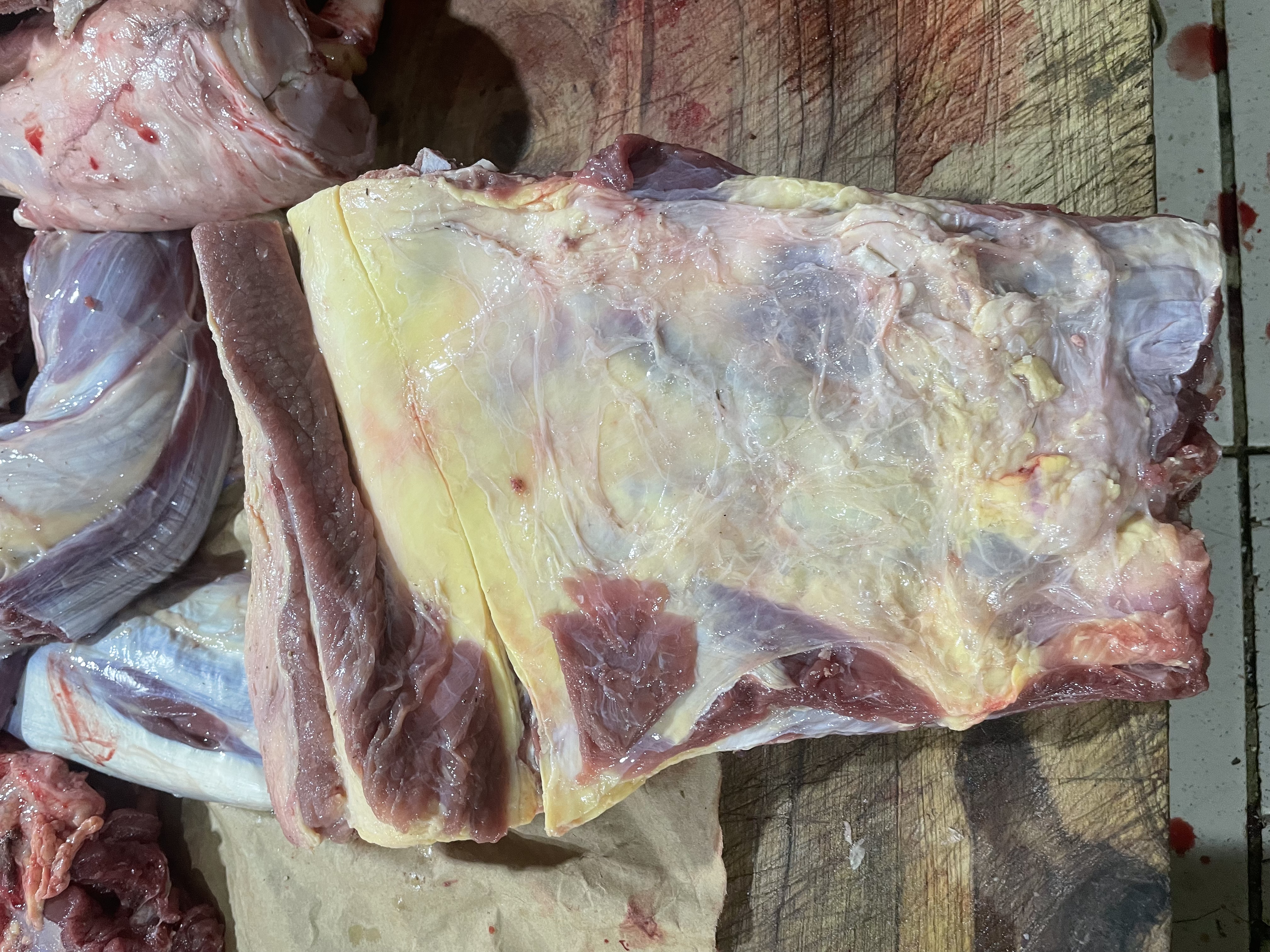 Poitrine de bœuf