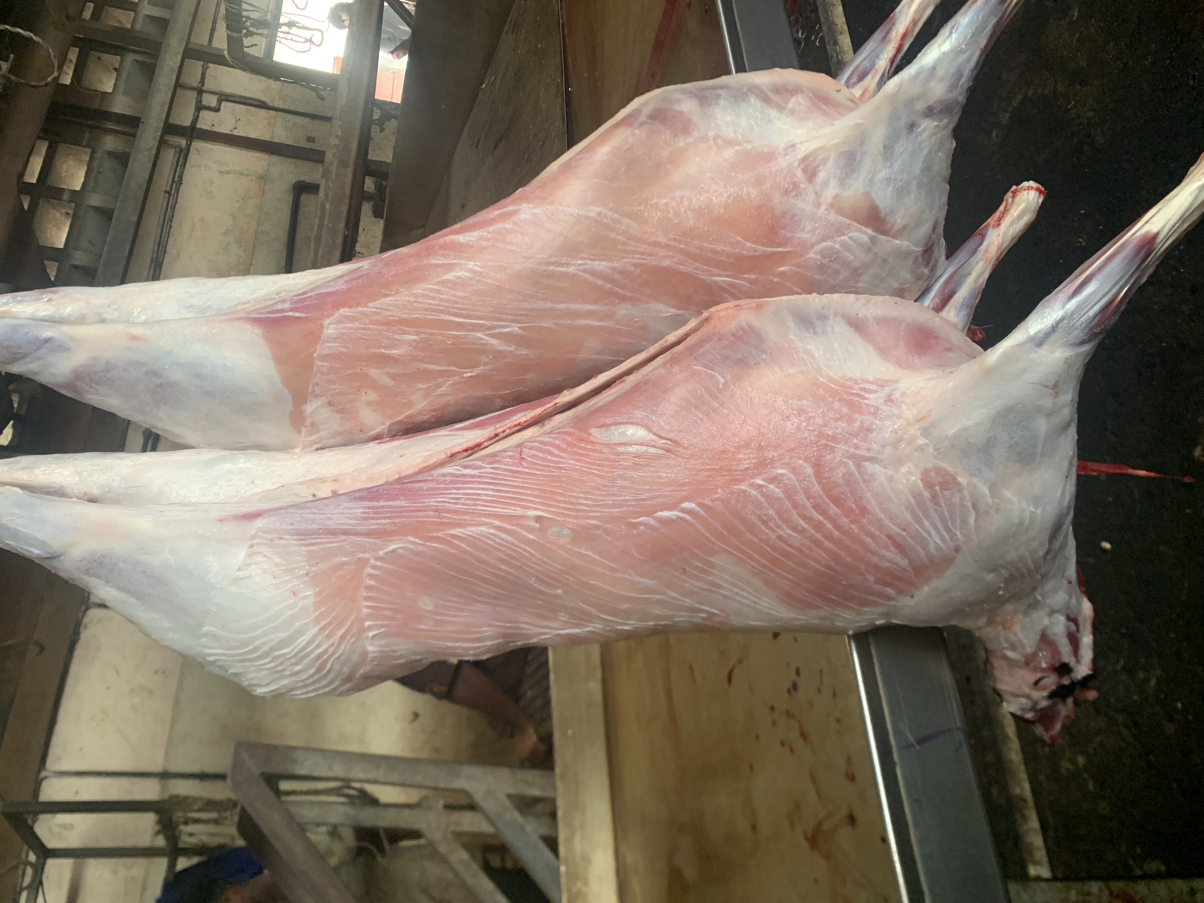 Viande de Mouton (Kilo)