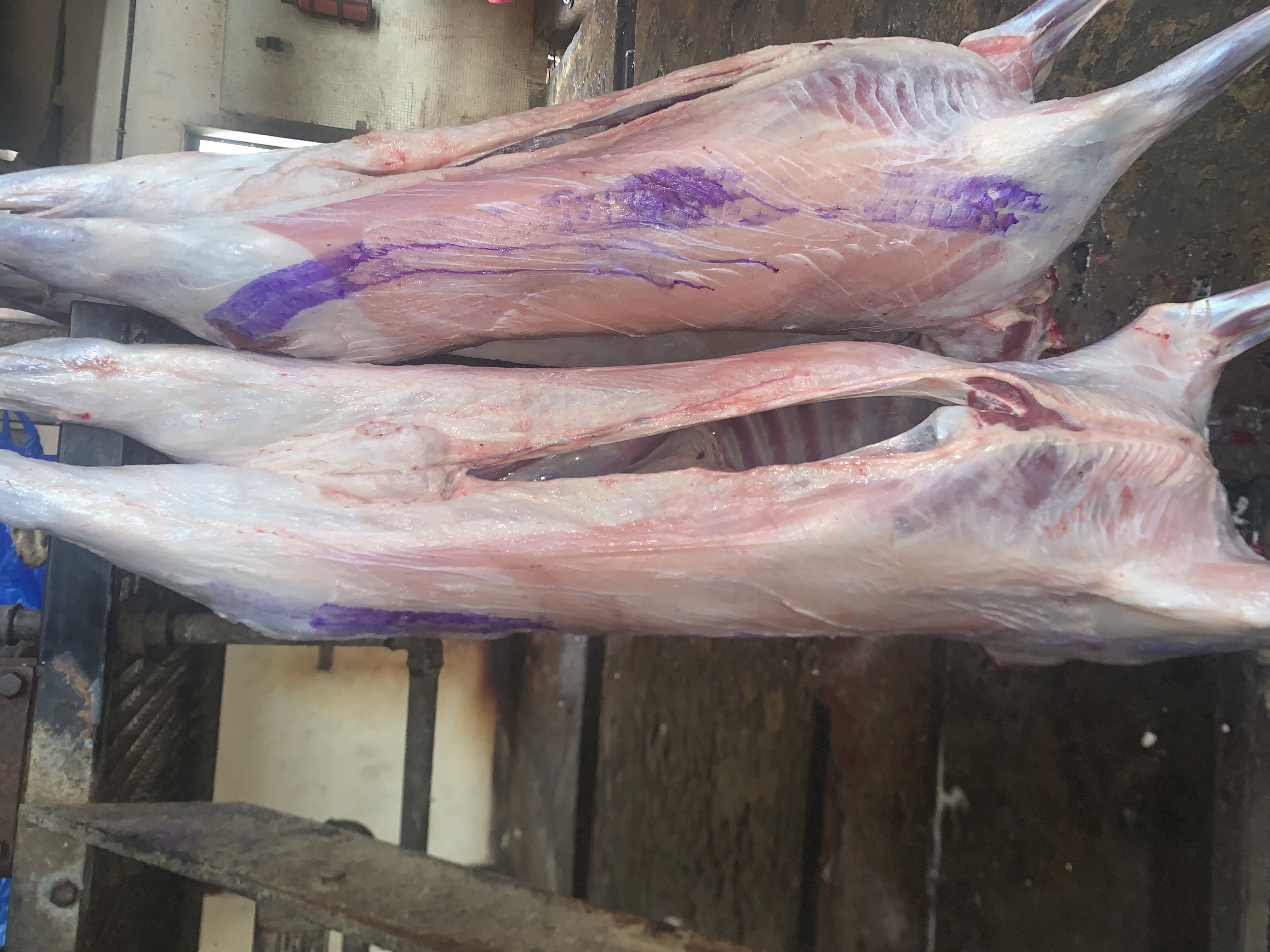 Viande de Mouton (Kilo)